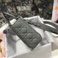 DI Smal Lady My ABCBag Grey For Women 8in/20cm CD