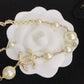 BL - High Quality Necklace CHL050