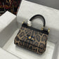 DG Sicily Bag In Leopard-Print Pony Hair Multicolour For Women 7.9in/20cm DG