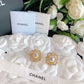 BL - High Quality Earring CHL 009