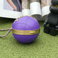 CHL Ball Bag Purple and Gold Chain Bag For Women 23.5cm/9.25in