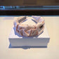 BL - New Hair Band CHL 039