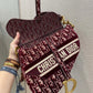 DI Saddle Bag Red For Women 10in/26cm CD M0446CTZQ_M17E