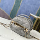 ChanelVanity Case Gold Hardware Grey For Women, Women’s Handbags, Shoulder Bags 9.4in/24cm 