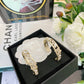 BL - High Quality Earring CHL 006