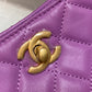 ChanelHobo Handbag Purple Bag For Women 16cm/6in