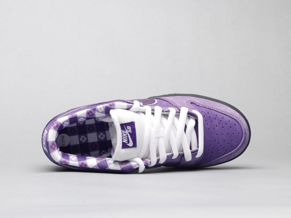 BL - Concepts Purple Lobster