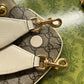 gg Blondie Mini Bag Brown And White For Women, Women’s Bags 8.7in/22cm gg