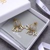 Best Quality Earring DR 042