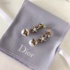 Best Quality Earring DR 025