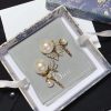 Best Quality Earring DR 049