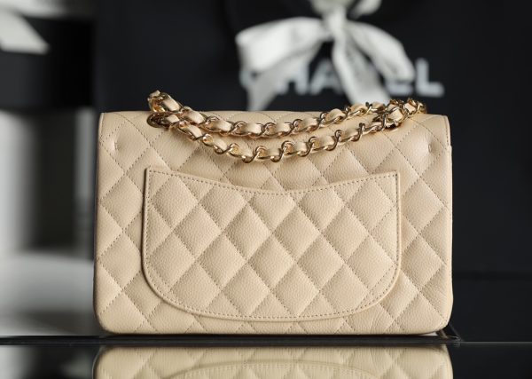 CN small classic flap bag