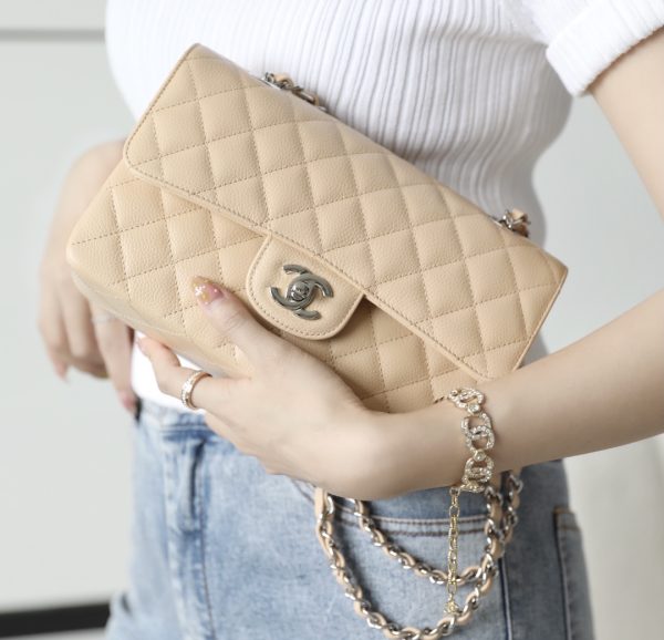 CN small classic flap bag