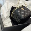 Laveszi Luxury Bags CN 501