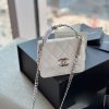 Laveszi Luxury Bags CN 491