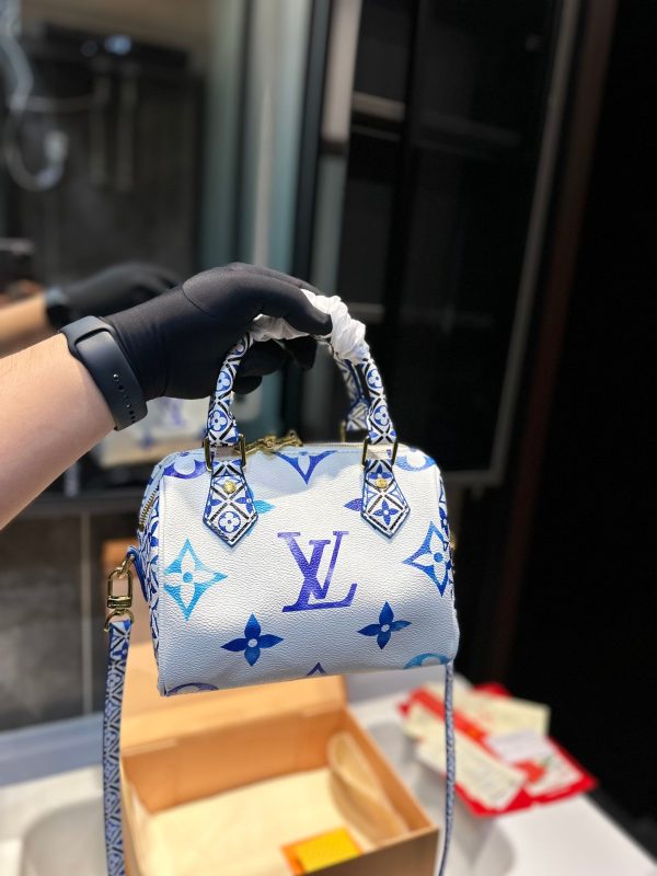 Laveszi Luxury Bags LV 899