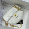 Laveszi Luxury Bags CN 576