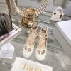 Designer Dior HIGH HEELS 029